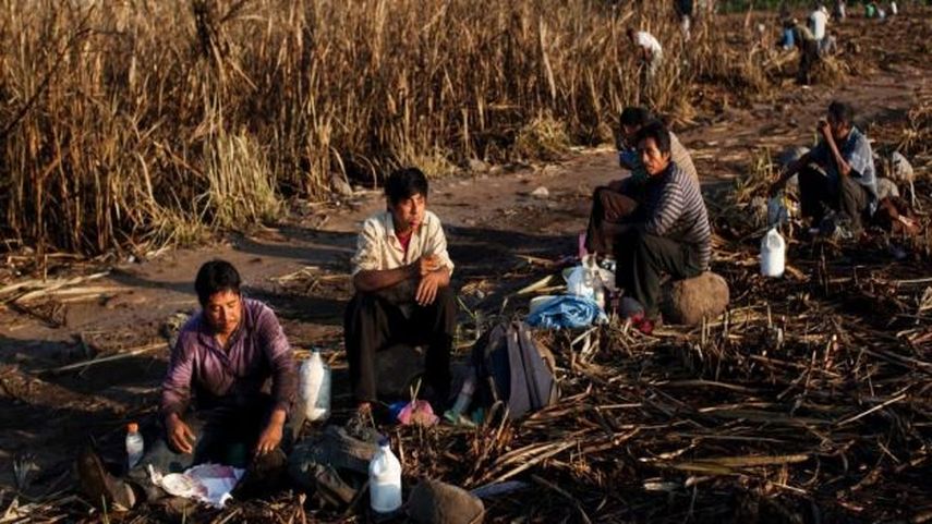 Ante esta crisis humanitaria, la ONG ha puesto en marcha un programa para beneficiar a 18.000 personas, un 98 por ciento de ellas mujeres, mediante el pago de dinero en efectivo a cambio de un empleo (CORTESÍA)
