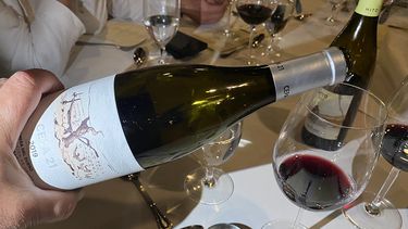 CEPA 21, Ribera del Duero.