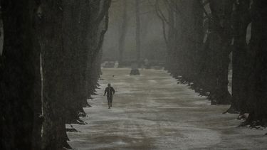 Un hombre corre bajo la nieve en el parque Cinquantenaire en un frío día de primavera en Bruselas, el martes 6 de abril de 2021. Los belgas se despertaron el martes ante una pequeña nevada en la capital, un tiempo poco habitual para esta época del año.&nbsp;