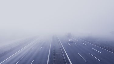 Densa neblina dificulta la visibilidad de choferes.