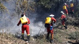 La Conaf cifró en 131 los incendios en todo el país, de los que 51 se encuentran en fase de combate, 68 han sido controlados y 12 fueron extinguidos.&nbsp;