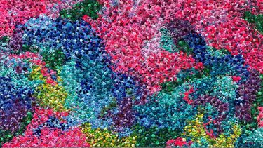 Una de las obras de la artista Gianna D.&nbsp;