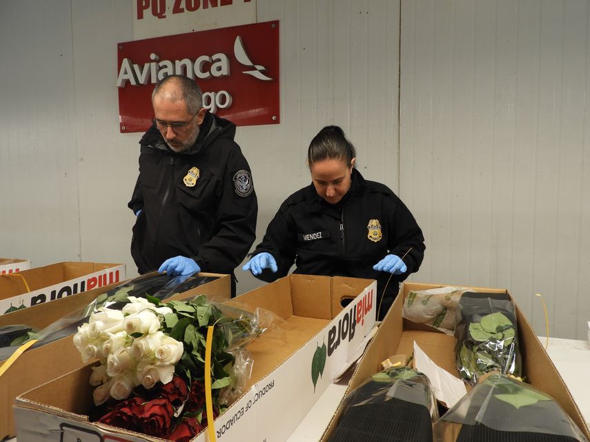Agente de CBP inspeccionan las flores en MIA.