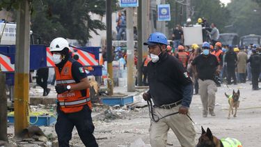 Brigadistas y voluntarios exhaustos continúan con las labores de rescate en los edificios colapsados durante el sismo de magnitud 7.1.