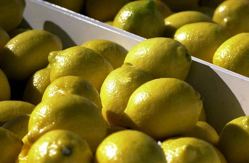 La importación de limón fresco desde el noroeste de Argentina a EEUU continental, se emitió el 23 de diciembre de 2016.